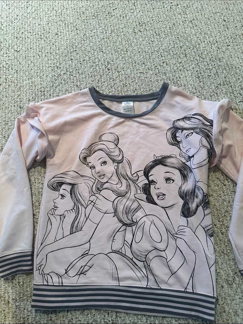 Disney Pink & Gray Princess Character Pullover